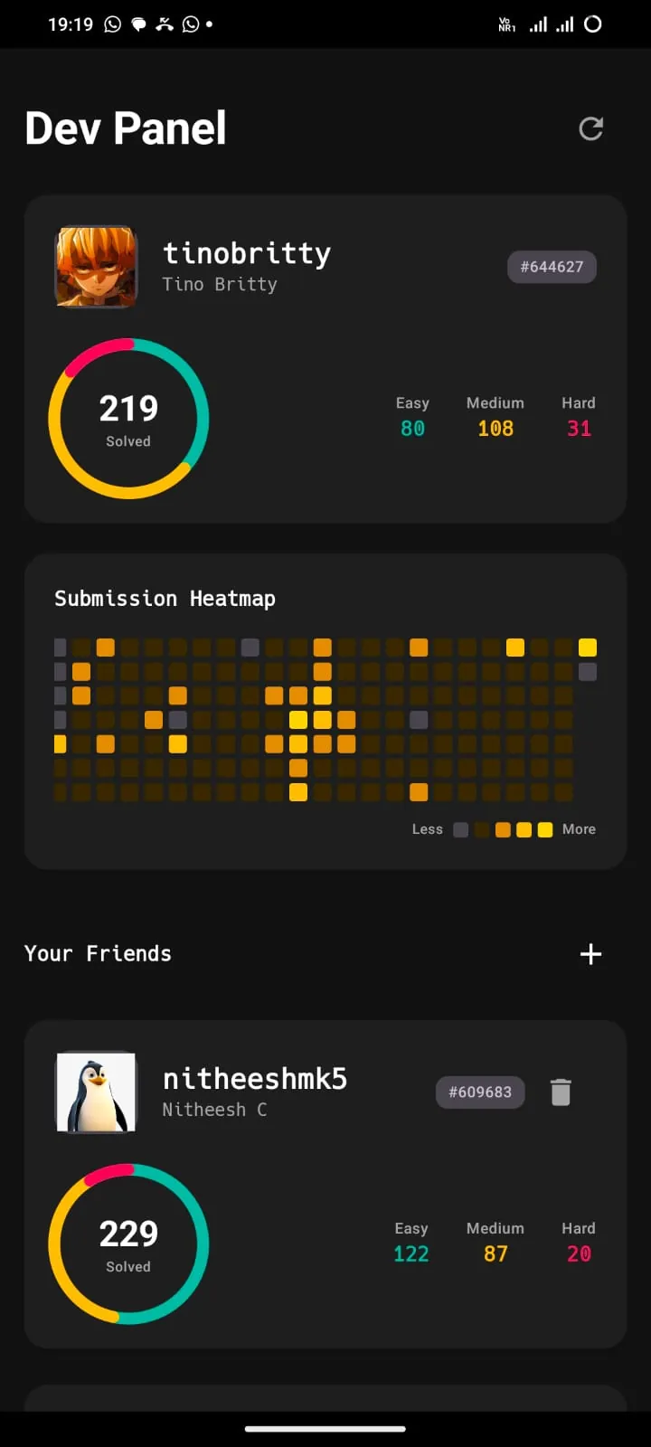 Dev Panel with LeetCode stats and submission heatmap